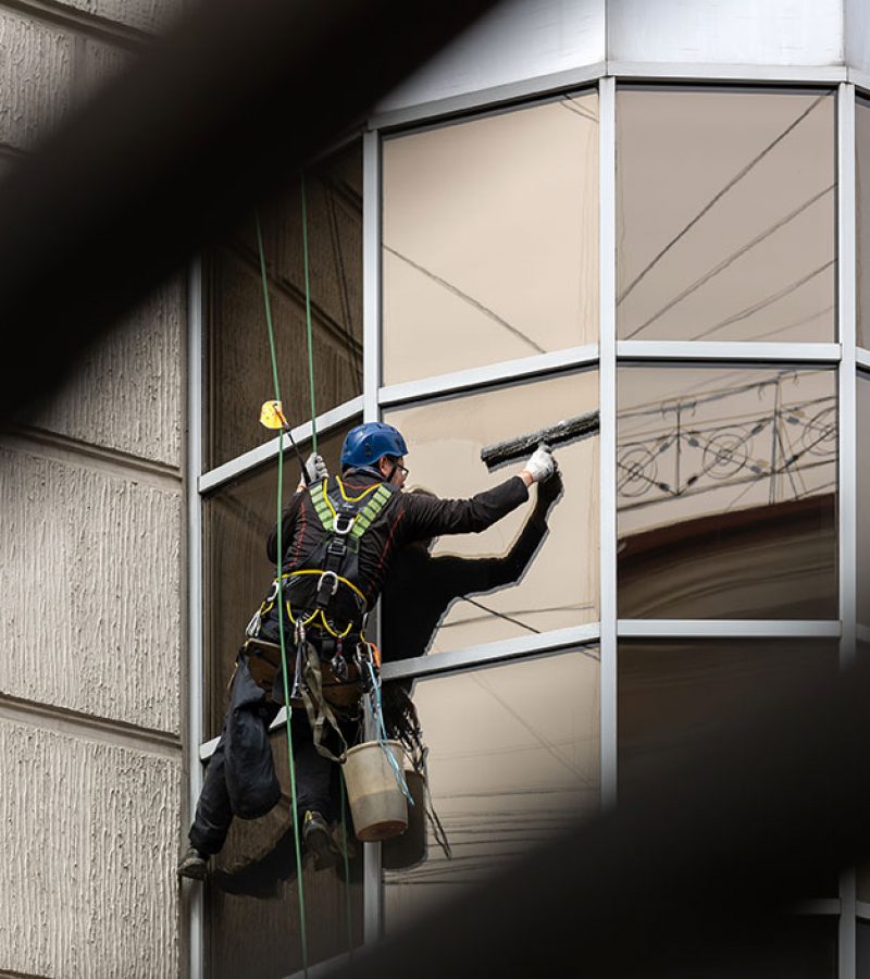 Limpieza-profesional